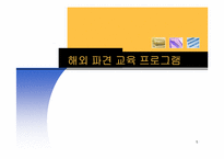 [인간자원개발론] 해외 파견 교육 프로그램-1