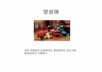 [사회]동성애 발표-4