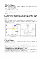 비비안 & 비너스 제품포지셔닝-3