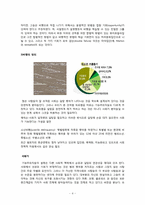 (사회학개론)범죄와 일탈 이론, 범죄의 희생자와 가해자, 교도소: 범죄에 대한 해법인가?-7