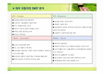 [국제경영전략] 대우자동차와 대우일렉트로닉스의 성공과 세계화 전략-11