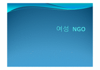 [시민사회와NGO] 여성 NGO에 관한 고찰-1