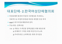 [시민사회와NGO] 여성 NGO에 관한 고찰-8