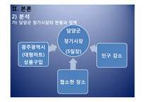 [인문지리학] 담양지역 정기시장의 활성화 방안-7