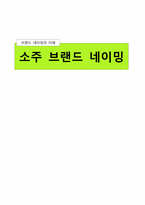 [마케팅] 소주 브랜드 네이밍-1