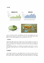 [국제경영] 홍진크라운(HJC)과 쇼에이(Shoei) 해외진출전략 비교-3