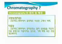 [화학] Paper Chromatography(종이 크로마토그래피)-3