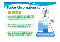 [화학] Paper Chromatography(종이 크로마토그래피)-12