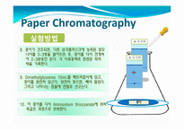 [화학] Paper Chromatography(종이 크로마토그래피)-13