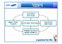 [국제경영] 삼성생명 해외진출사례-9