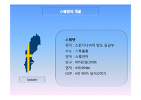 [행정학]스웨덴과 영국의 공공부문 비교-공공부문의 재정과 인력을 중심으로-4