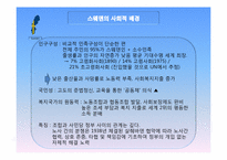 [행정학]스웨덴과 영국의 공공부문 비교-공공부문의 재정과 인력을 중심으로-10