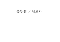 풀무원 기업조사-1