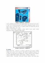 한류열풍에서 성장가능성과 여행사 창업-5