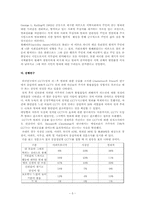 CCTV가 국민의 범죄두려움에 미치는 영향 연구계획서-5