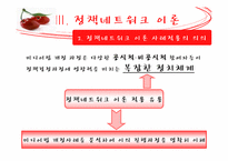 [정책론] 미디어법 개정-18