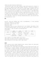 [사업계획서]스마트폰 어플리케이션 개발 및 공급 AppsLab 사업계획서-9