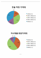 칫솔의 손잡이에 치약이 담겨져 있는 칫솔. 결합용 칫솔 마케팅 계획-13