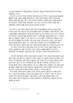 [국제경영] 엔씨소프트 NC SOFT의 해외 시장 진출전략 -아이온 AION을 중심으로-16