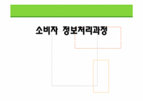 [소비자행동론] 소비자정보 처리 과정-1