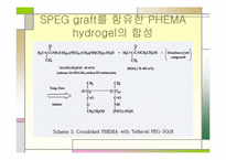 [화학공학설계] PEG를 함유한 PHEMA Hydrogel제조-18