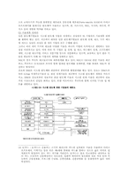 [졸업][일본어학] 세계 추세속의 일본반도체산업-16