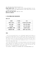 [국제마케팅] LG전자의 인도 마케팅전략-8