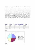 [국제마케팅] LG전자의 인도 마케팅전략-19