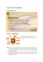 [신제품 마케팅] 국내 막걸리 신상품 일본시장 진출 마케팅 전략-11