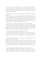 [국제기업환경] 이집트 비즈니스 환경과 진출 기업 사례 조사-11