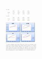 [회계원리] 아모레퍼시픽 vs LG생활건강 재무분석(~2009)-4