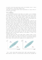 [회계원리] 아모레퍼시픽 vs LG생활건강 재무분석(~2009)-10