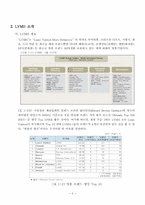 [국제경영] LVMH(루이비통 모엣헤네시) 중국시장 진출 전략-3