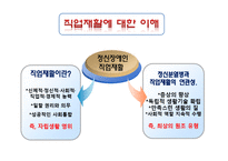 [정신보건] 정신장애인의 직업재활 -정신분열병 정신장애인을 대상으로-5