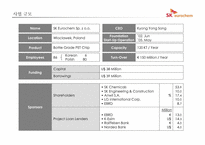 [국제경영] SK그룹-SK유로켐(SK Eurochem) 유럽시장 진출 전략-2