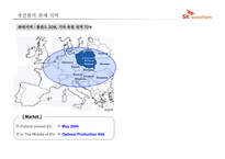 [국제경영] SK그룹-SK유로켐(SK Eurochem) 유럽시장 진출 전략-4