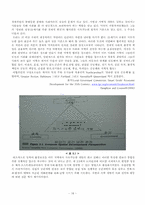 [지역개발] Local and regional development(챕터2) 번역본-18