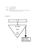 [경영학] 패댁스 FedEx 조직구조 및 인사 운영방침, 조직문화, 경쟁업체와의 비교 분석-3