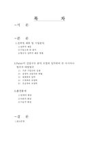 [국제경영학] 대한항공과 아시아나 항공의 국제전략적 제휴 및 항공산업 분석-1