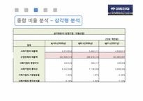 대림산업 경영분석컨설팅-18