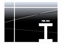 [국제경영] 영미권 국가에서의 NBS 전략-3
