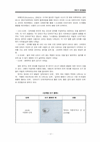 유아기 언어발달-12