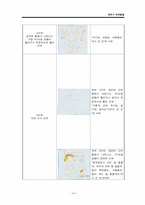 유아기 언어발달-14