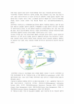 [전자무역] 전자무역(사이버무역, 인터넷 무역)의 문제점과 활성화 방안-5