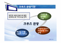 [관광학] 테마관광의 전망-문화예술관광, 크루즈관광, 어촌관광-7