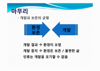 환경오염과 친환경적 개발의 필요성-14