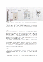 [반응현상실험] gc(Gas Chromatography) 결과-2