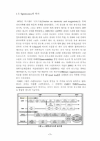 [반도체화학공정] 스핀트로닉스 SPINTRONICS-5