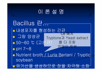 [화학공학] 미생물 성장속도 실험-Bacillus의 성장속도 실험-4