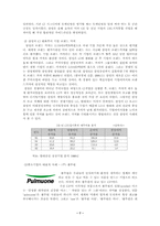 [학사][기업이미지]외식산업의 성공적 CIP전략과 성공사례-7